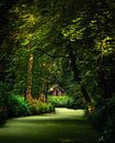 Cabane dans les bois par Niels Tichelaar Aperçu