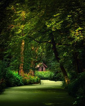 Cabane dans les bois sur Niels Tichelaar