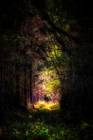 Out of the dark