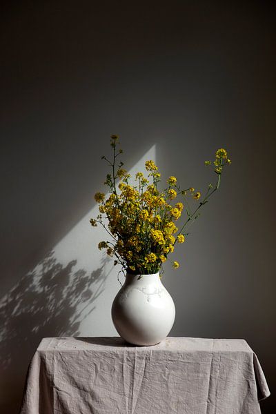 Nature morte d'un colza de navette sous un soleil printanier par Lilian Bisschop