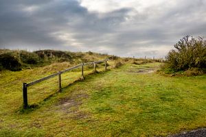 Duinen Texel
