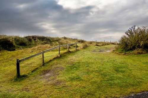 Duinen Texel
