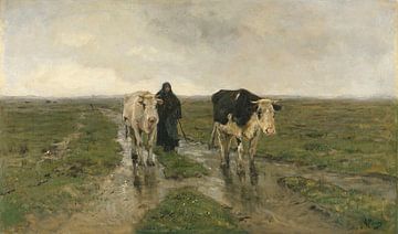 Changing Pasture, Anton Mauve