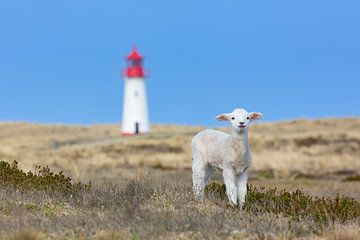 Vuurtoren Lijst West van Sven-Erik Arndt