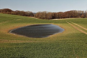 Pond in the lawn by Jörg Schildbach