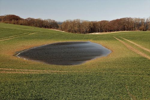 Étang dans la pelouse
