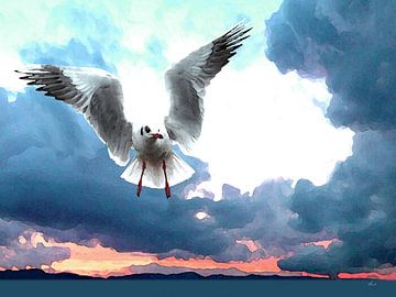 Gull and sea