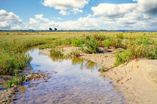 Die böse Ecke mit ihren Wattenmeeren, Salzwiesen und Bächen