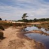 Reflectie Sluierwolken in Watervlakte Loonse en Drunense Duinen van Deborah de Meijer