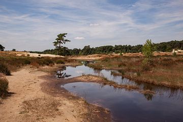 Reflectie Sluierwolken in Watervlakte Loonse en Drunense Duinen van Deborah de Meijer