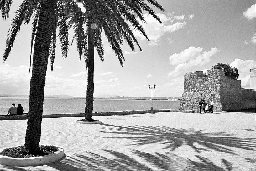 Africa  by Maarten  van der Velden