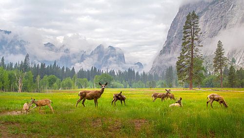 A Feeling of Ancient Time