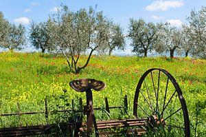 weiland in toscane sur Hanneke Luit