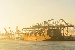 Großes Frachtcontainerschiff im Hafen von Rotterdam festgemacht