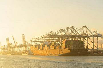 Containervrachtschip aangemeerd in de haven van Rotterdam van Sjoerd van der Wal