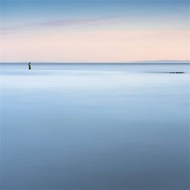 L'observateur sur la côte zélandaise sur Claire van Dun