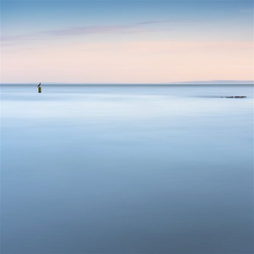 Der Beobachter an der Küste von Zeeland von Claire van Dun