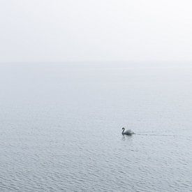 Vue avec brume sur le lac de Constance Lindau Allemagne sur Jefra Creations