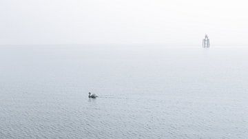 Uitzicht met mist op het Bodenmeer Lindau Duitsland van Jefra Creations