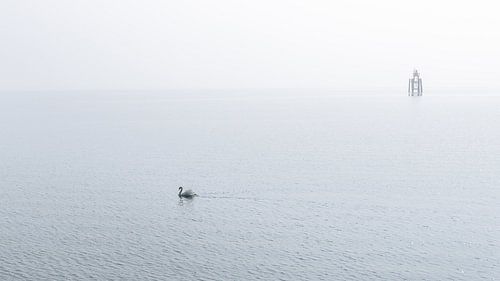 Uitzicht met mist op het Bodenmeer Lindau Duitsland van Jefra Creations