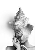 Shell Face
