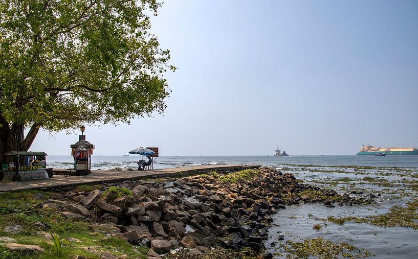 Haven in India. van Floyd Angenent