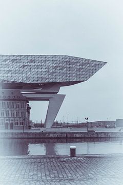 Hafenhaus Antwerpen von Kristof Mentens