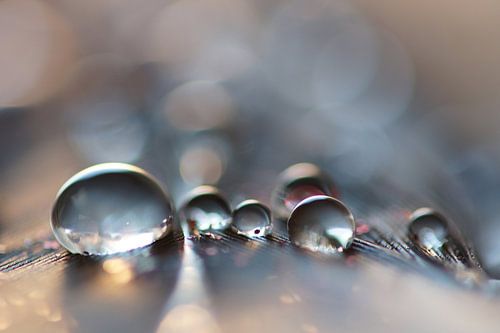 Tears by nature van Carla Mesken-Dijkhoff