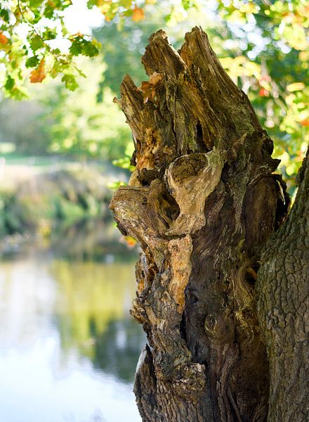 &quot;Guardian of the River Dommel by Erna Kampman