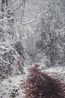 Winter in Vijlen