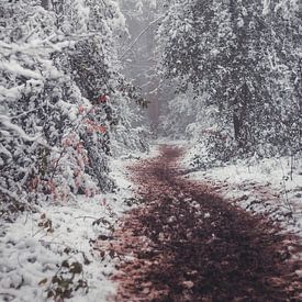 Winter in Vijlen by Floor Schreurs