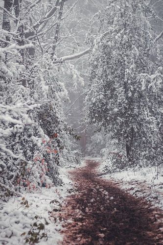 Winter in Vijlen