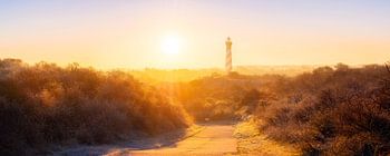 Vuurtoren Burgh-Haamstede in gouden ochtelicht (panorama)