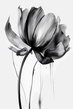 Fleur aquarelle noire sur haroulita