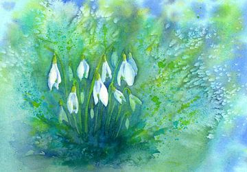 Erste Frühlingsboten Aquarellgemälde von Karen Kaspar