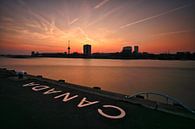 Skyline Rotterdam - Euromast van Fotografie Ploeg thumbnail