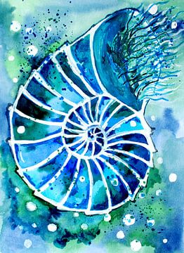 Turquoise Nautilus van Sebastian Grafmann