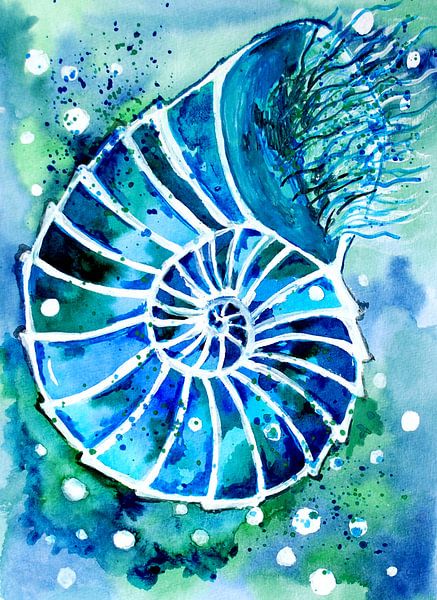 Nautilus turquoise par Sebastian Grafmann