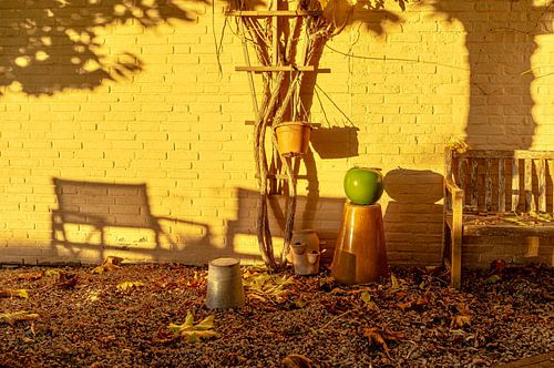 Grüner Apfel in der goldenen Stunde