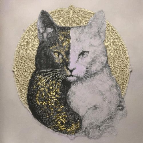 Yin Yang golden cat
