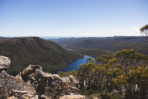 Mount Field: Juweel van Tasmanië's Wildernis