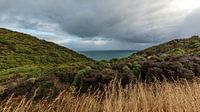Ruwe kust - Nugget Point, NZ, Nieuw-Zeeland