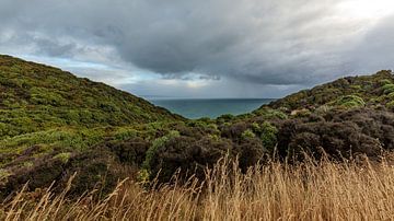 Ruwe kust - Nugget Point, NZ, Nieuw-Zeeland van Pascal Sigrist - Landscape Photography