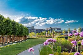 Budapest plantation overlooking WC Leidsche Rijn