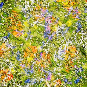 Amor, Paz y Flores