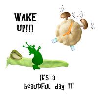 Wake up!!! It’s a beautiful day!!!