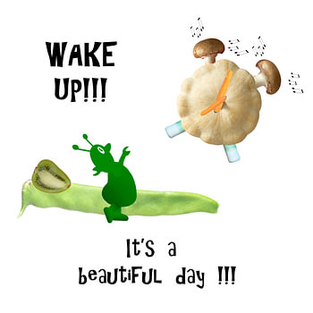 Wake up!!! It’s a beautiful day!!!