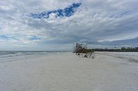 USA, Florida, Storm dramatic sky over white sand beach of honeymoon island by adventure-photos thumbnail