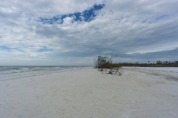 Verenigde Staten, Florida, Storm dramatische lucht over wit zandstrand van honeymoon eiland van adventure-photos