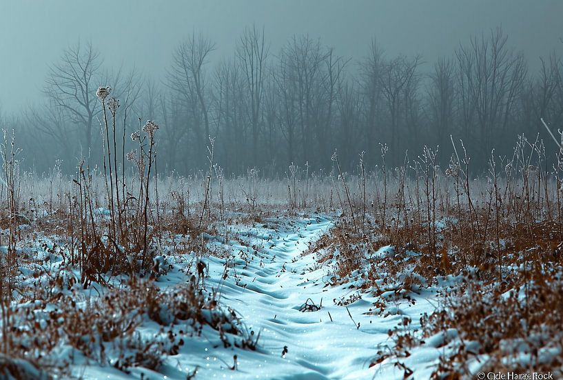 Winterlandschap van fernlichtsicht